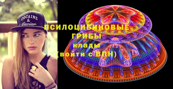 мяу мяу кристалл Корсаков