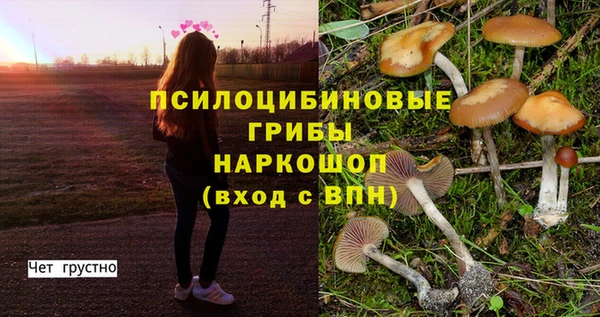 мяу мяу кристалл Корсаков