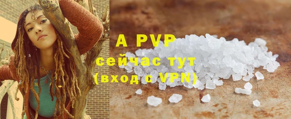мяу мяу кристалл Корсаков