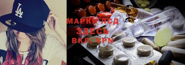 мяу мяу кристалл Корсаков