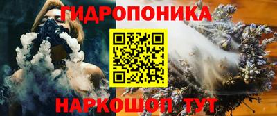ГАЛЛЮЦИНОГЕННЫЕ ГРИБЫ Кингисепп