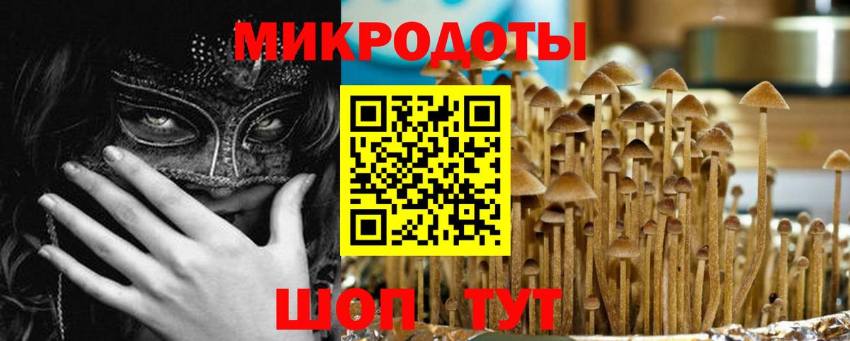 Галлюциногенные грибы прущие грибы  Вход с VPN  Галлюциногенные грибы Psilocybe  Североуральск 