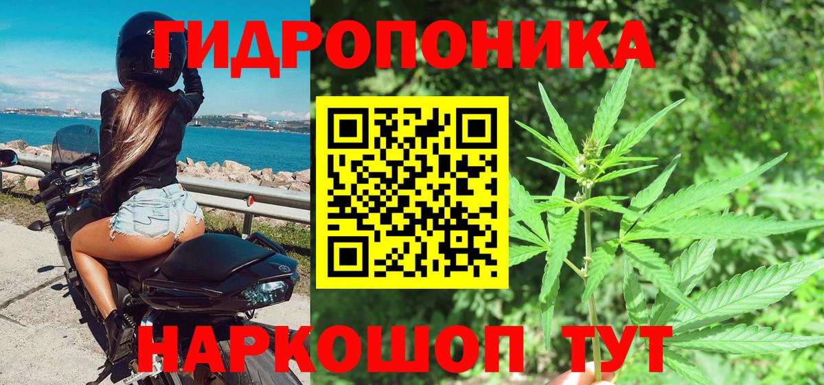 Североуральск  Конопля сатива  Вход с VPN  Марихуана сатива  Шишки марихуана гибрид 